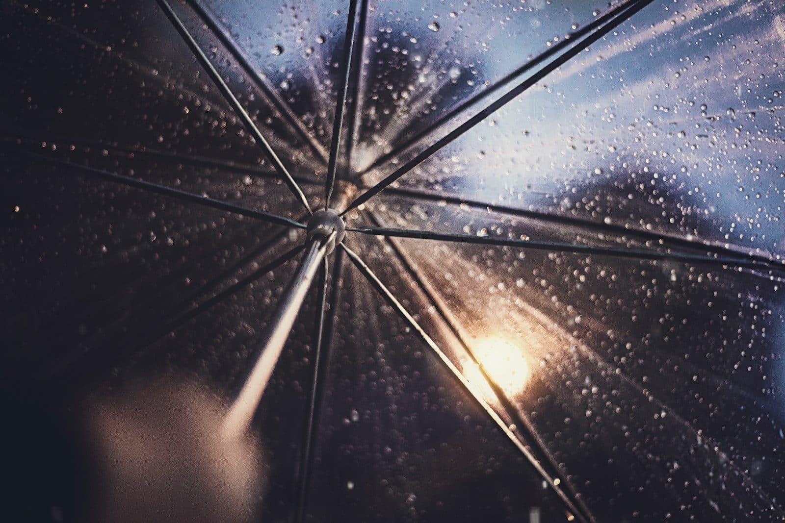 Reinsurance