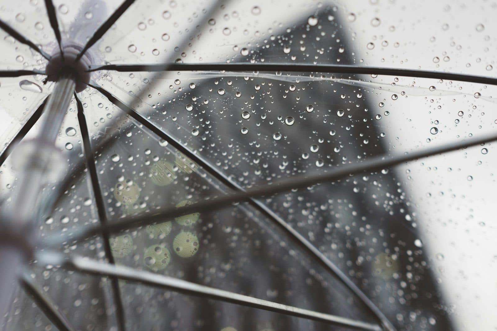 Reinsurance